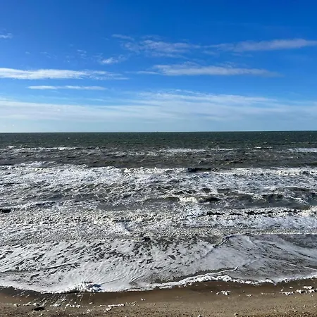 6 Person In Hjorring